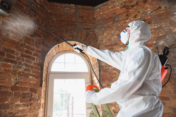 Best Forensic Mold Investigation in USA